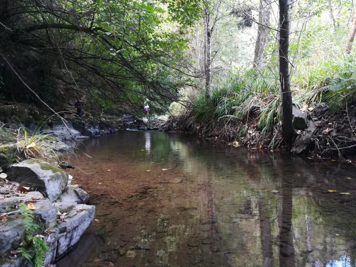 פסו דה רגואה Quinta Da Portelada מראה חיצוני תמונה