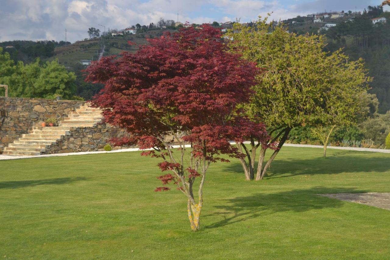 פסו דה רגואה Quinta Da Portelada מראה חיצוני תמונה