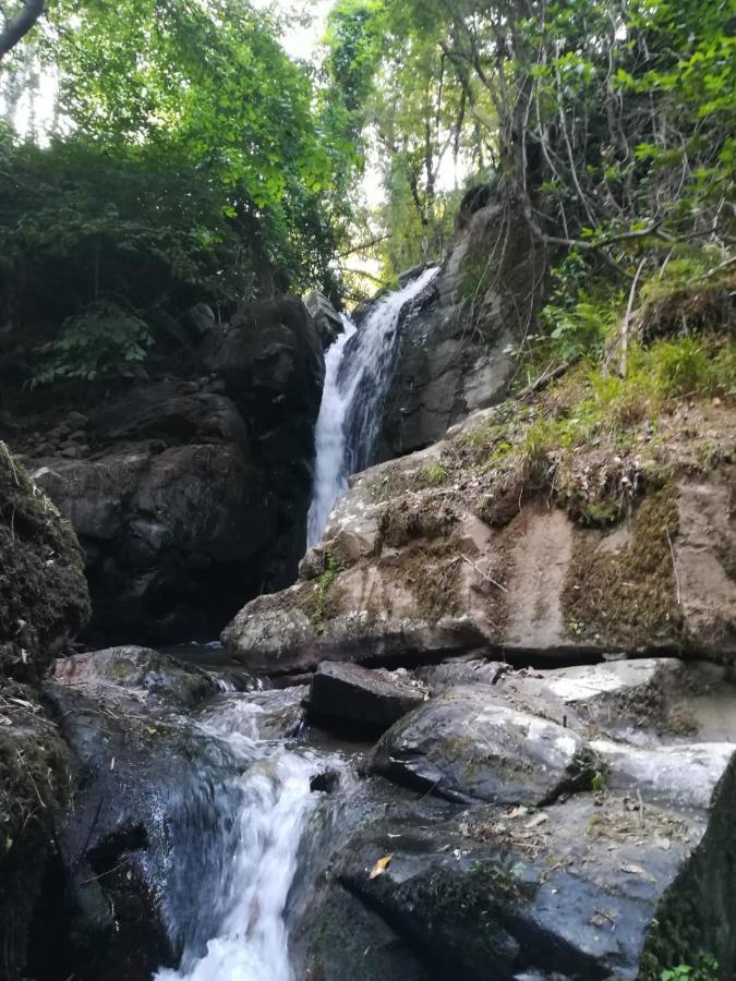 פסו דה רגואה Quinta Da Portelada מראה חיצוני תמונה