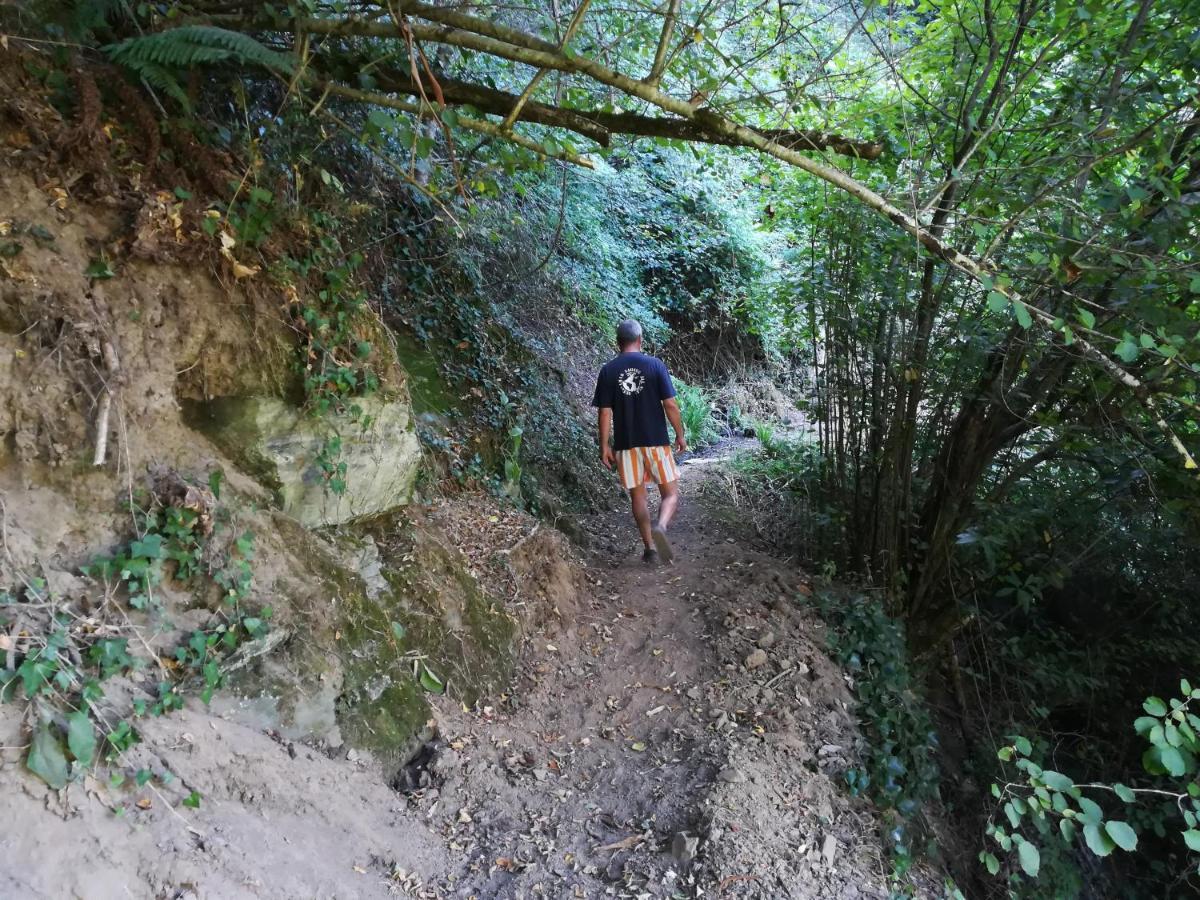 פסו דה רגואה Quinta Da Portelada מראה חיצוני תמונה