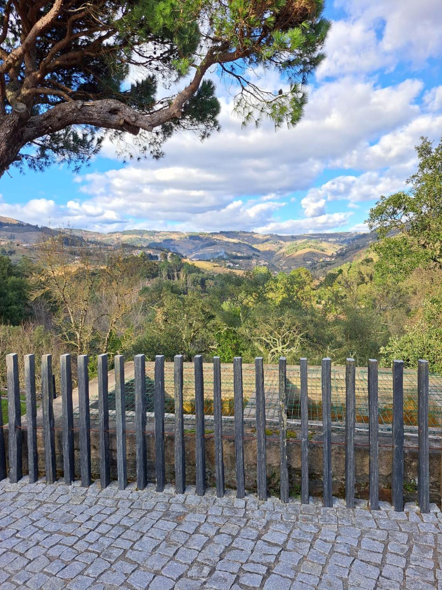 פסו דה רגואה Quinta Da Portelada מראה חיצוני תמונה