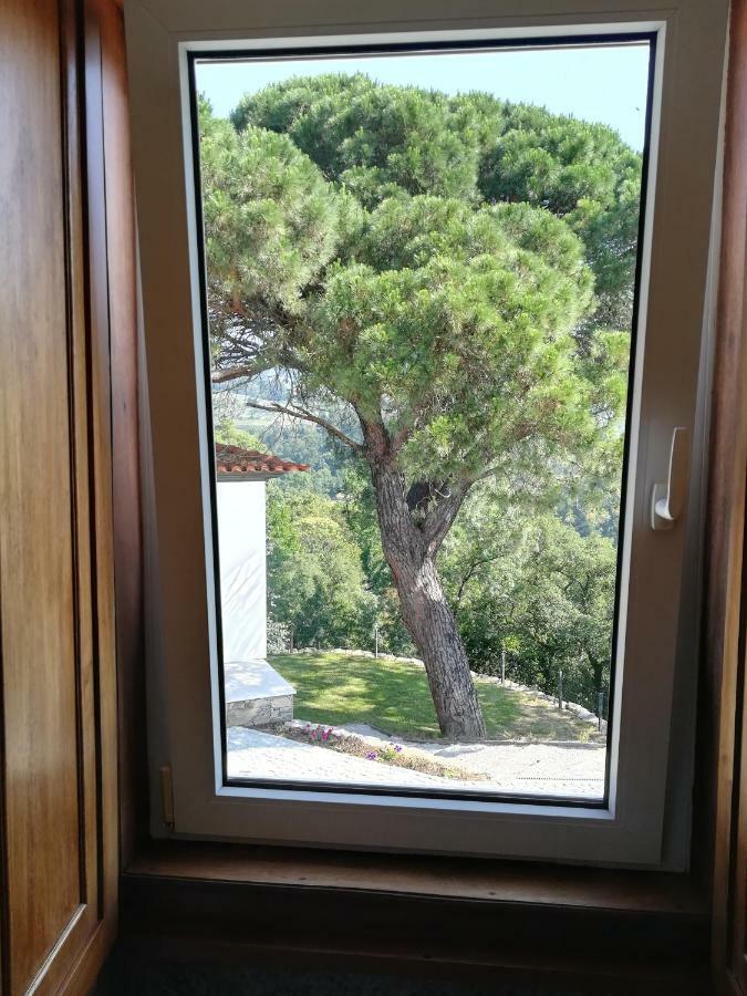 פסו דה רגואה Quinta Da Portelada מראה חיצוני תמונה
