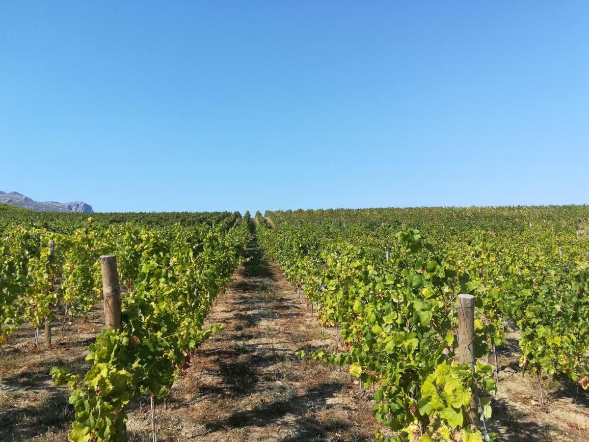 פסו דה רגואה Quinta Da Portelada מראה חיצוני תמונה